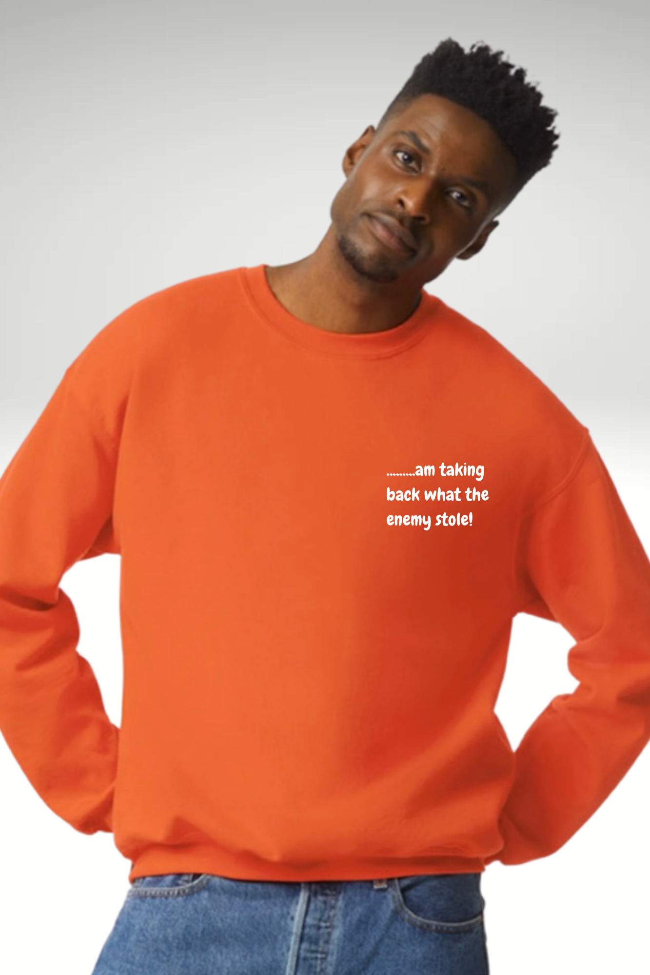 TAKING BACK WHAT THE ENEMY STOLE SWEATSHIRT
