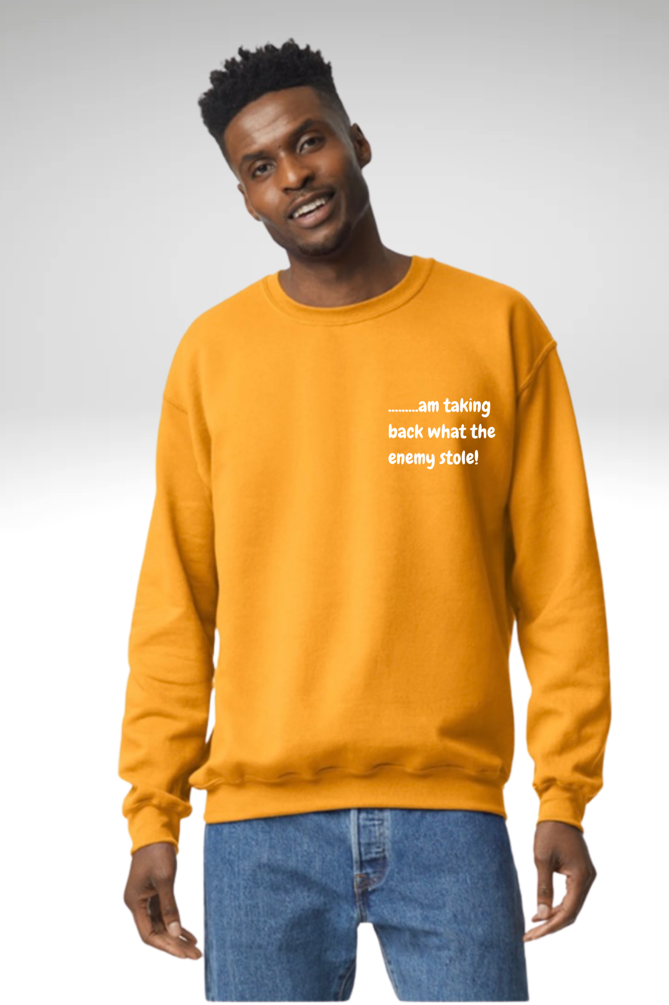 TAKING BACK WHAT THE ENEMY STOLE SWEATSHIRT