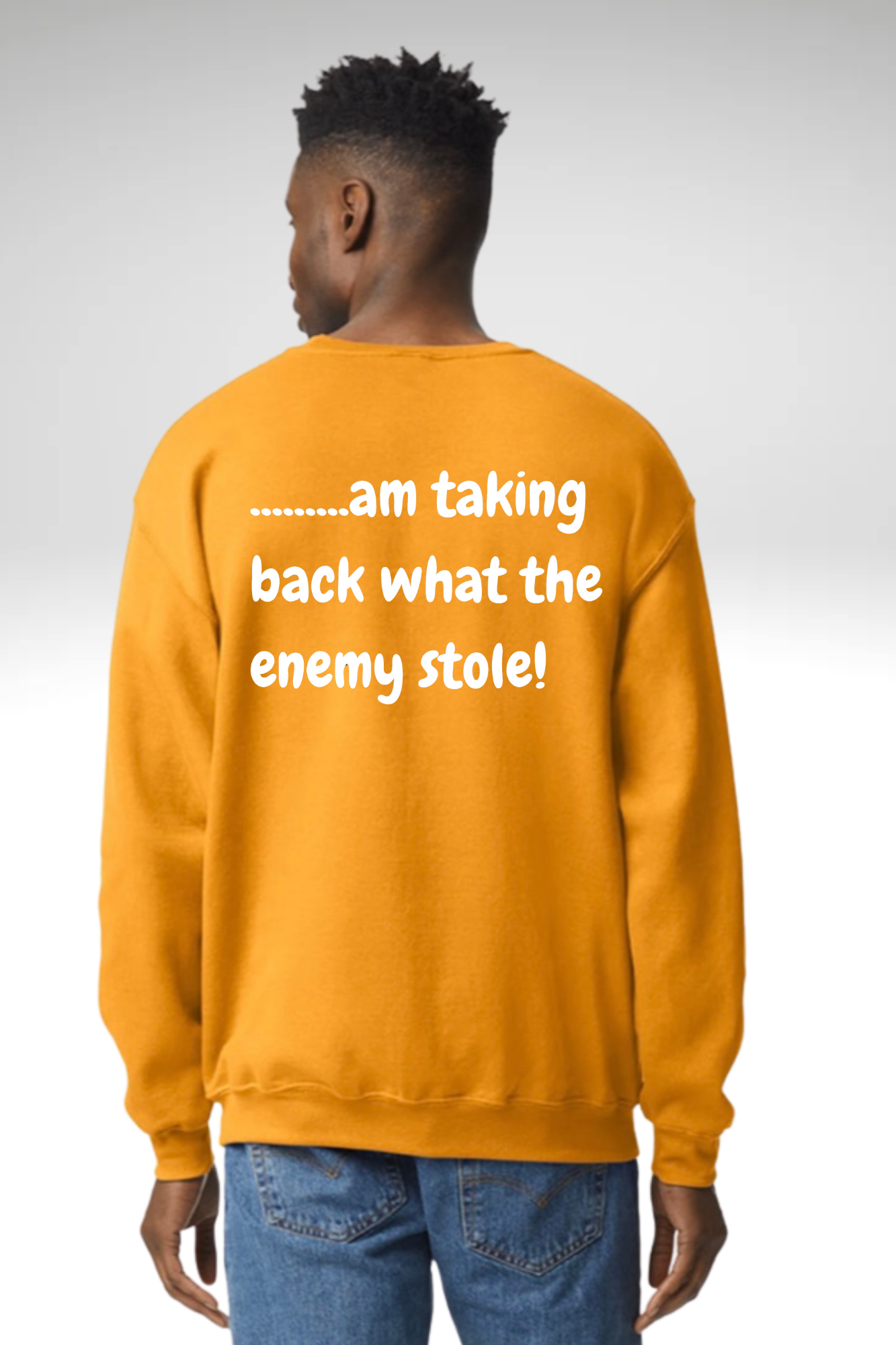 TAKING BACK WHAT THE ENEMY STOLE SWEATSHIRT