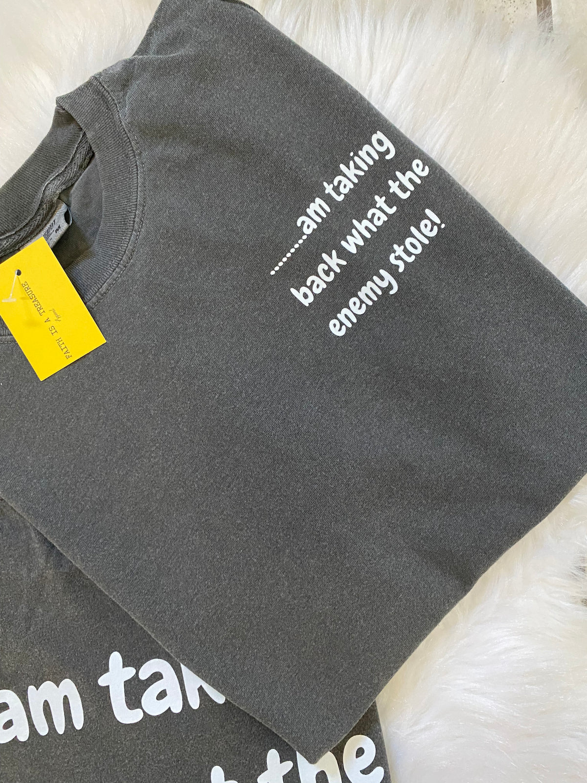 TAKING BACK WHAT THE ENEMY STOLE T-SHIRT