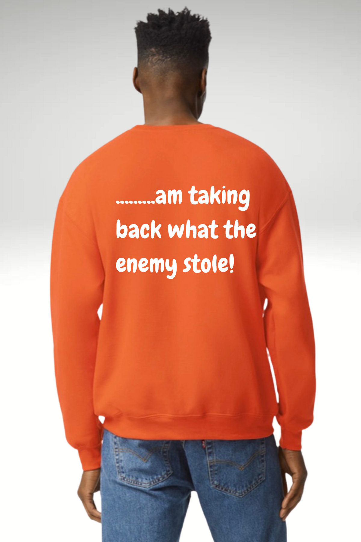 TAKING BACK WHAT THE ENEMY STOLE SWEATSHIRT