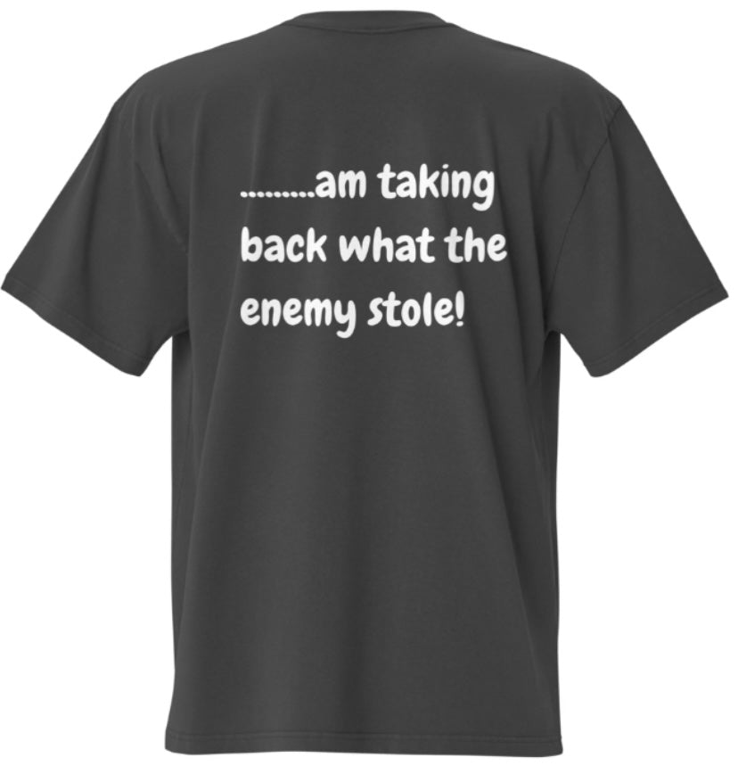 TAKING BACK WHAT THE ENEMY STOLE T-SHIRT