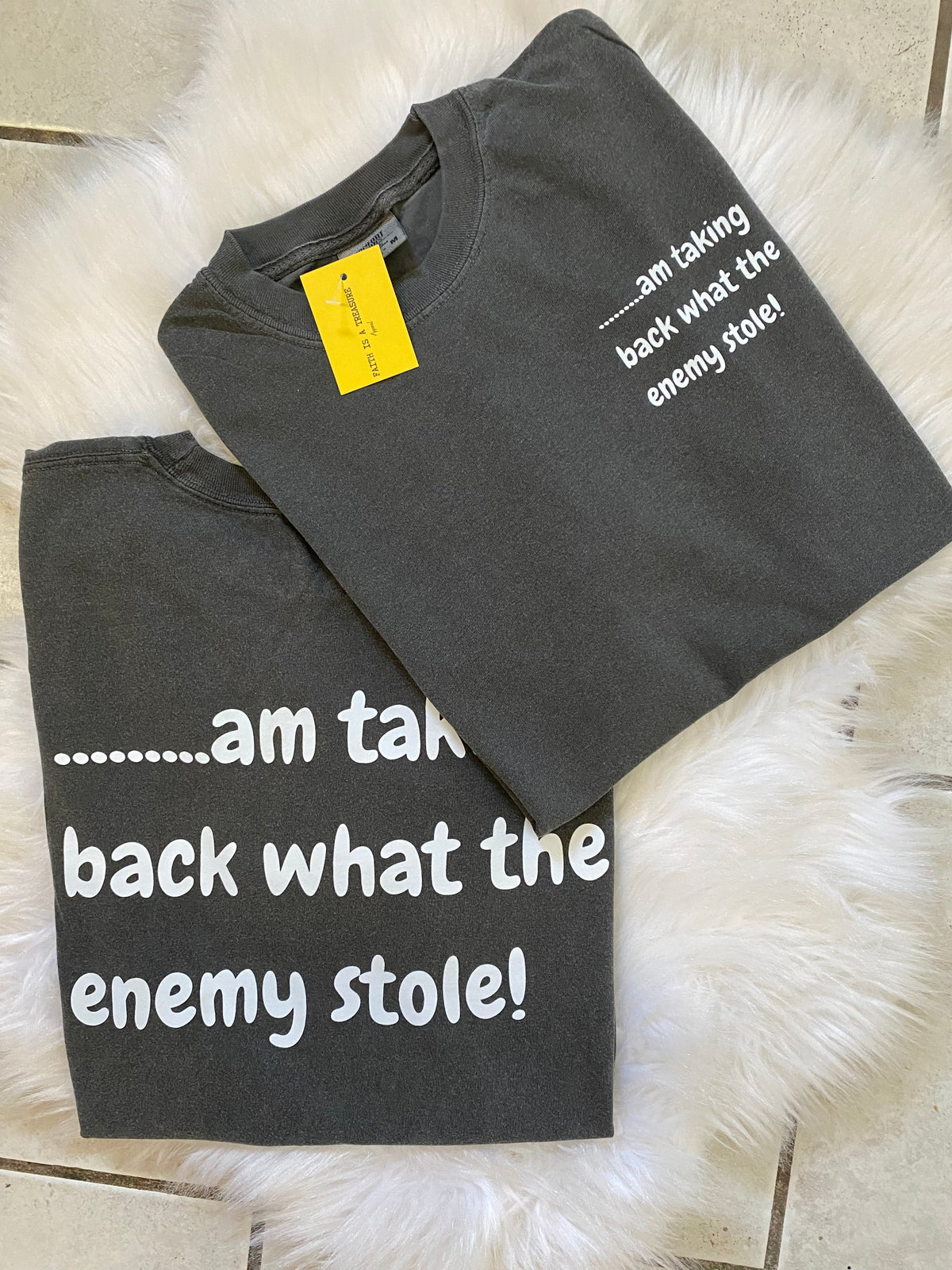 TAKING BACK WHAT THE ENEMY STOLE T-SHIRT