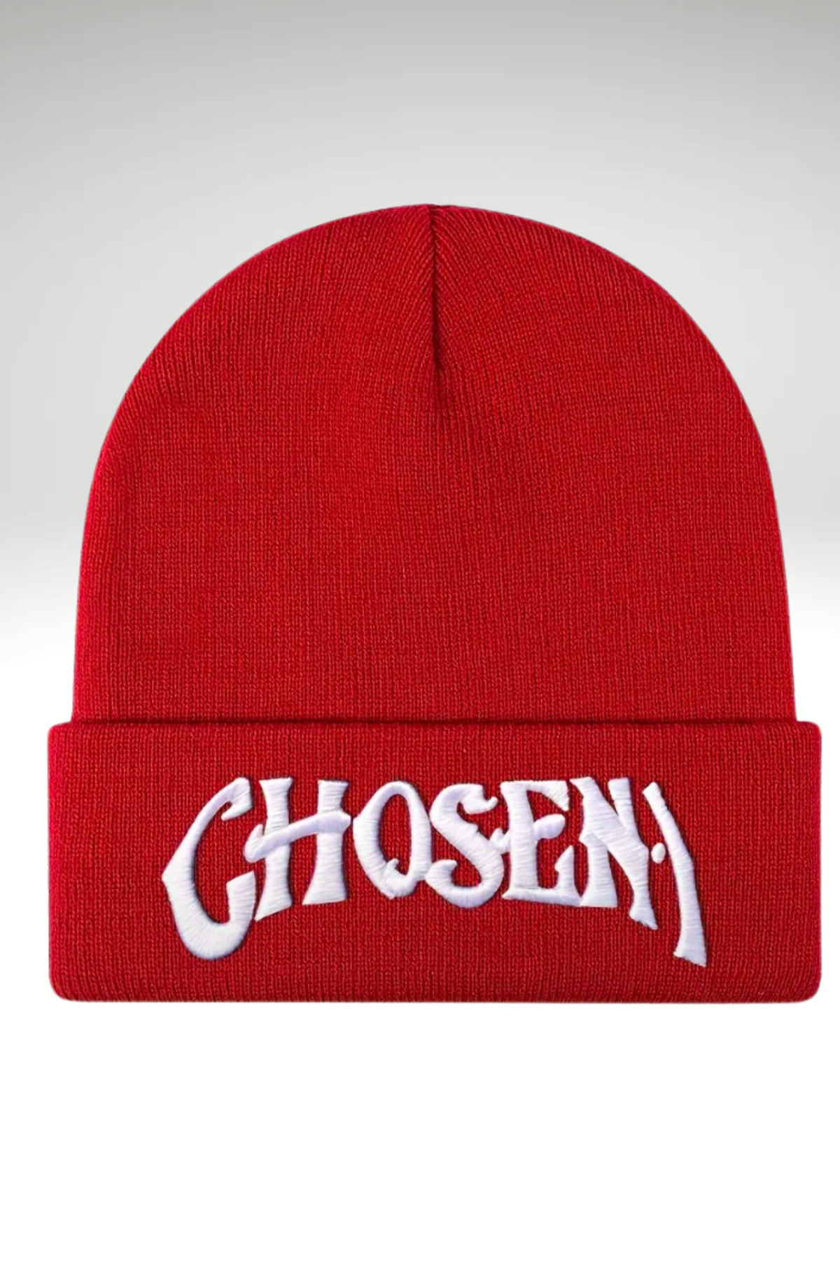 CHOSEN ONE BEANIE